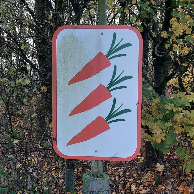 3 carrots sign at growing with grace