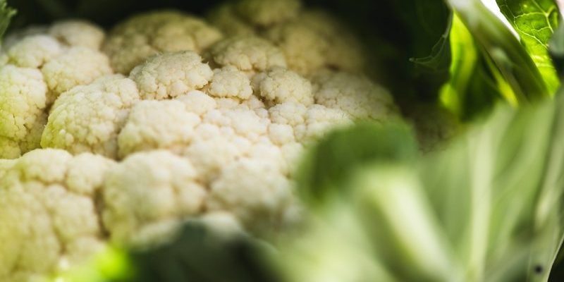 organic cauliflower closeup from riverford