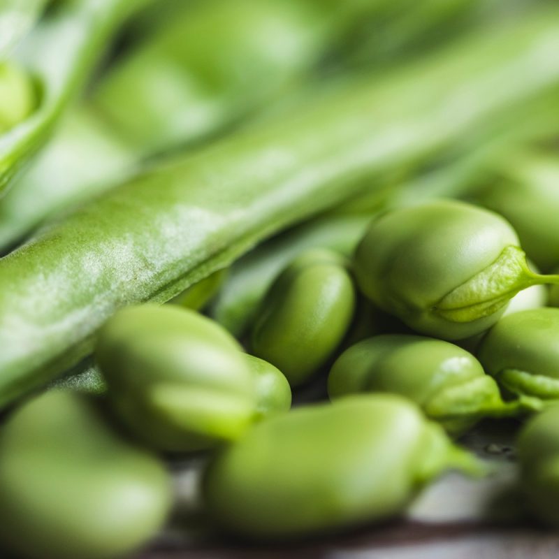 organic broad beans closeup from riverford