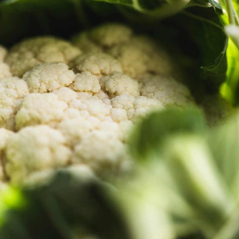 organic cauliflower closeup from riverford