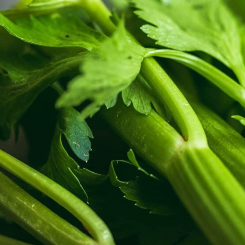 organic celery feature from riverford