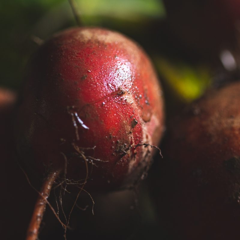 organic golden beetroot closeup from riverford