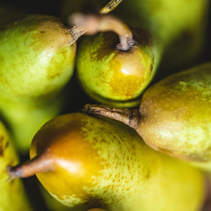 organic pears closeup from riverford