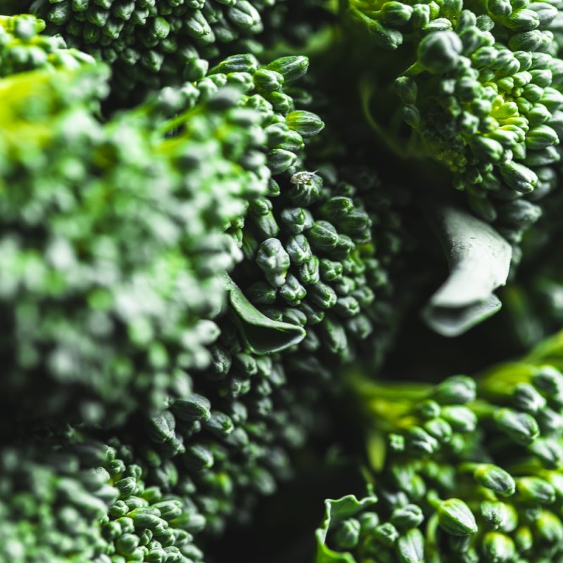 organic tenderstem broccoli closeup from riverford